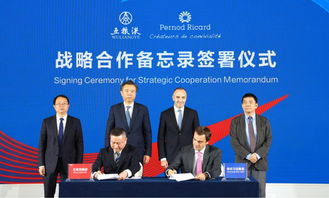 五糧液與保樂(lè)力加強(qiáng)強(qiáng)聯(lián)合 簽署戰(zhàn)略合作諒解備忘錄，共繪全球酒業(yè)共贏發(fā)展新藍(lán)圖
